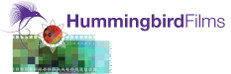 Hummingbird Films