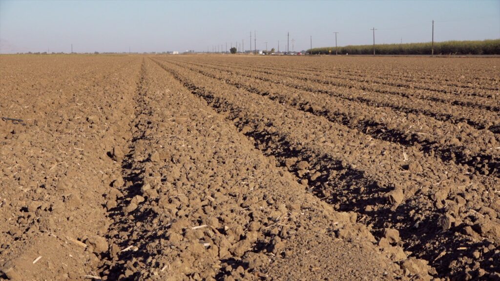 Plowing kills the life in the soil